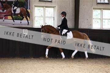 181243_avh_01_2172 (1).JPG