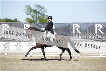 181449_kbb_01_6II9763.JPG