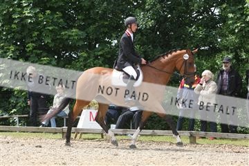 135518_ms_01_IMG_1468.JPG