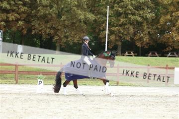 181923_mtp_03_R62_8105.JPG