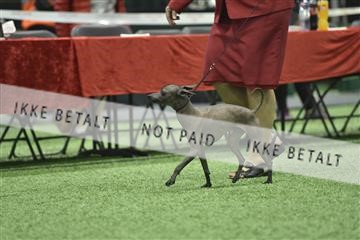 163793_bkn_01__BKN9267.JPG