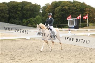 181894_mtp_03_R62_2717.JPG