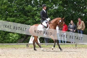 135518_ms_01_IMG_1491.JPG