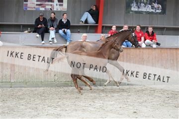 181868_mtp_03_R62_6441.JPG