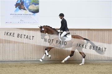 160111_nn_01__ESK2012.JPG
