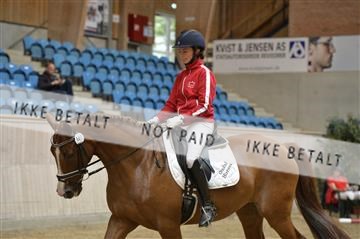 160111_nn_01__ESK1387.JPG