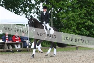 135518_ms_01_IMG_1330.JPG
