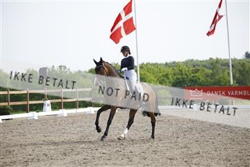 181449_kbb_02_6II1432.JPG