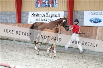 181868_mtp_03_R62_6072.JPG