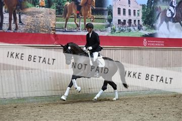 181887_mtp_05_R62_9852.JPG