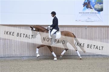 160111_nn_01__ESK1729.JPG