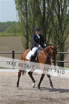 135086_sg_01_IMG_0431.JPG