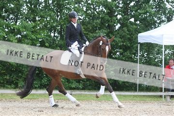135518_ms_01_IMG_0901.JPG