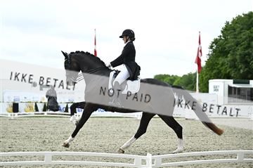 181449_kbb_03_Z092008.JPG
