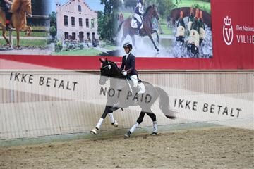 181887_mtp_05_R62_9935.JPG