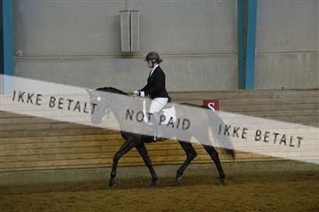 144288_abo_01__AB22057.JPG