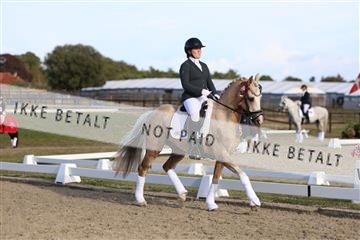 181894_mtp_05_R62_5872.JPG