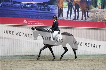 181887_mtp_04_R62_8517.JPG