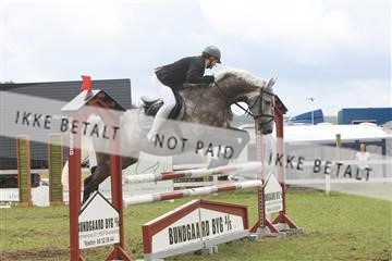 5925_ma_05_IMG_0585.JPG