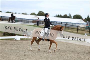 181894_mtp_03_R62_2997.JPG