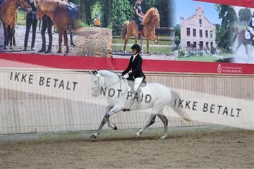 181887_mtp_02_R62_7484.JPG