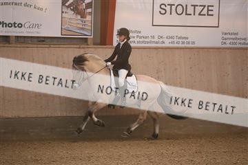 173782_mtp_01_3M5A6818.JPG