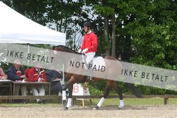 135518_ms_01_IMG_1293.JPG