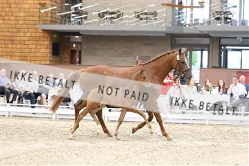 174806_jss_04_R6II3976.JPG