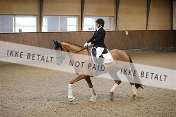 173821_mtp_01_3M5A8284.JPG