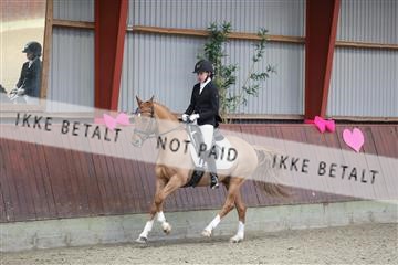 173883_mtp_01_3M5A0749.JPG