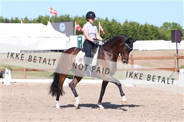181449_bc_01R62_6021.JPG
