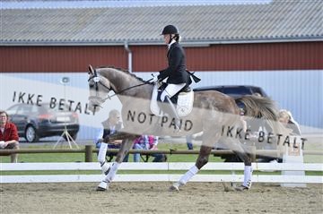 136195_abo_01__AB16269.JPG