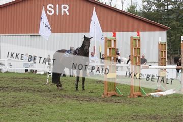 5925_ma_05_IMG_0728.JPG