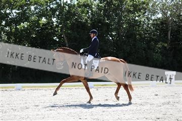 172073_mtp_01_3M5A4472.JPG