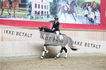 181887_mtp_02_R62_7657.JPG