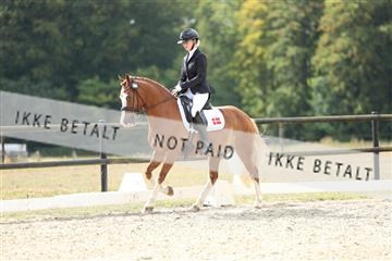 181894_mtp_04_R62_4000.JPG