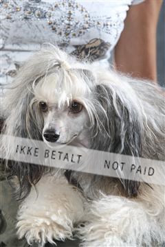 129608_le_ 01_0148.JPG