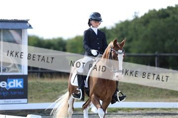 181894_mtp_05_R62_4843.JPG