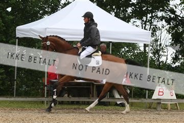 135518_ms_01_IMG_0954.JPG