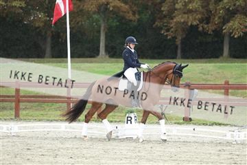 181923_mtp_04_R62_8959.JPG
