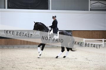 179088_mtp_01_3M5A3484.JPG