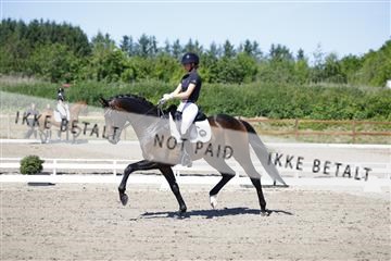 181449_kbb_01_6II9210.JPG