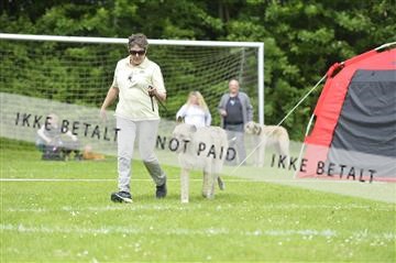 172109_bkn_01__D044821.JPG