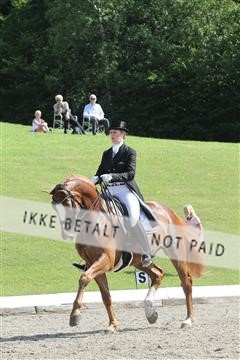 135676_sg_01_IMG_7822.JPG