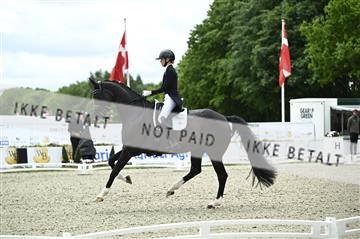 181449_kbb_03_Z090582.JPG