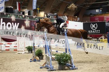 175934_avh_01_5769.JPG