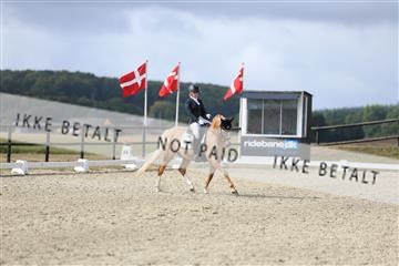 181894_mtp_04_R62_3858.JPG