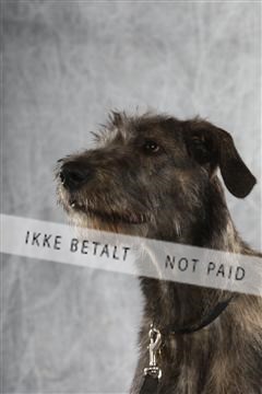 129608_le_ 02_0132.JPG