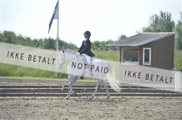 169078_kbb_1__KBB3584.JPG