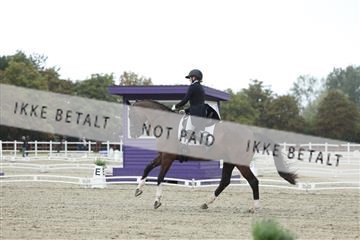 181923_mtp_04_R62_8343.JPG